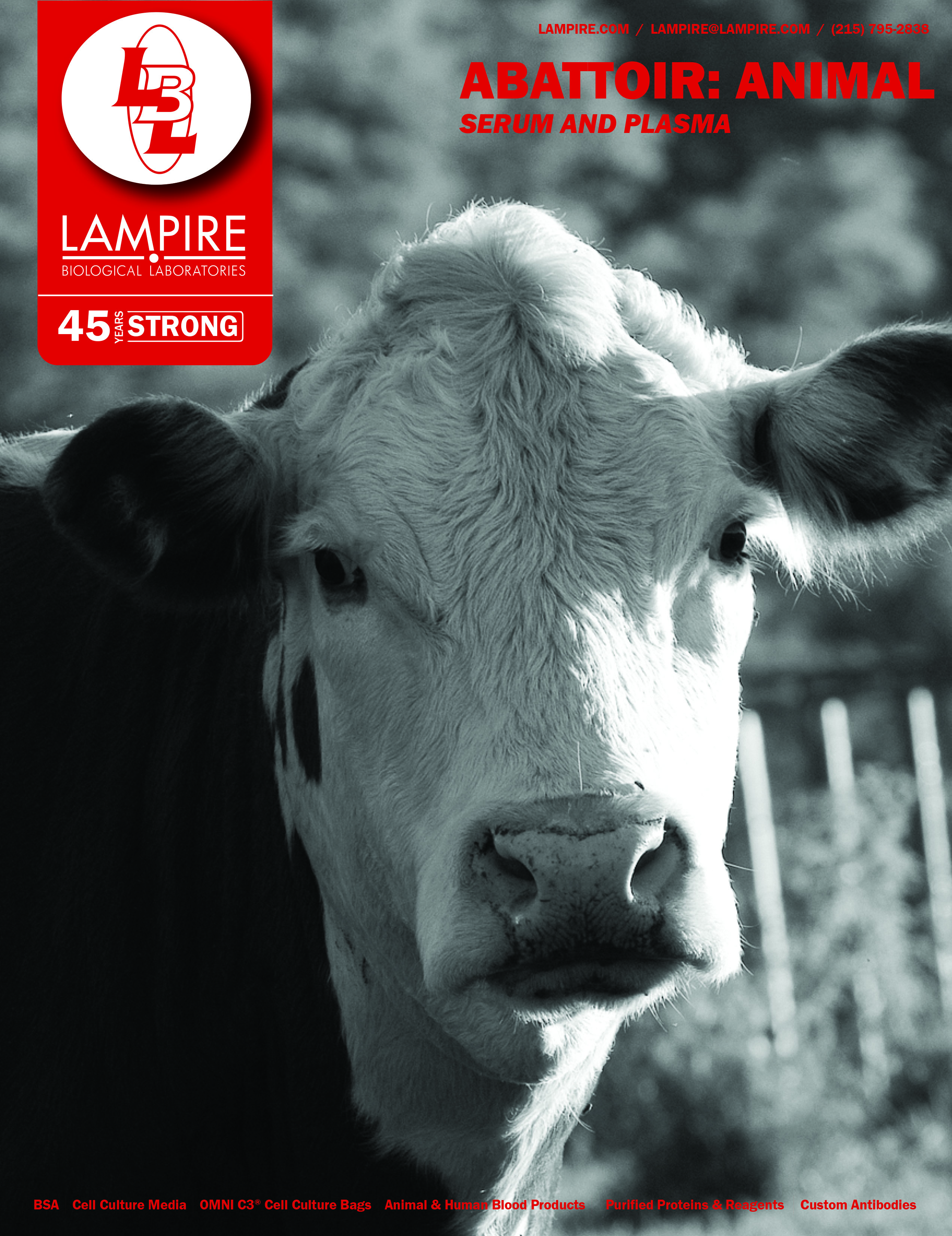 ABATTOIR: SERUM & PLASMA