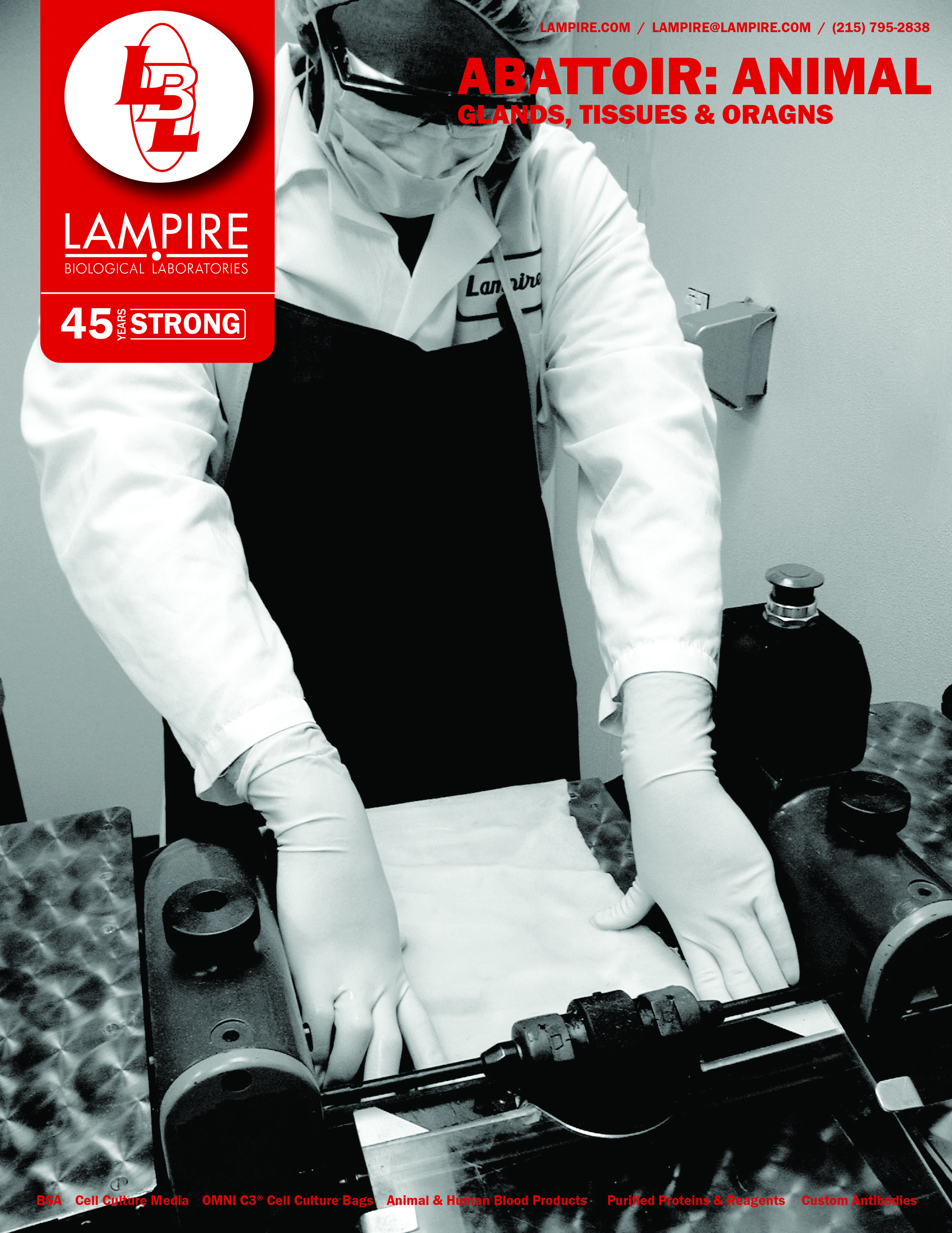 Abattoir: Glands, Tissues & Organs