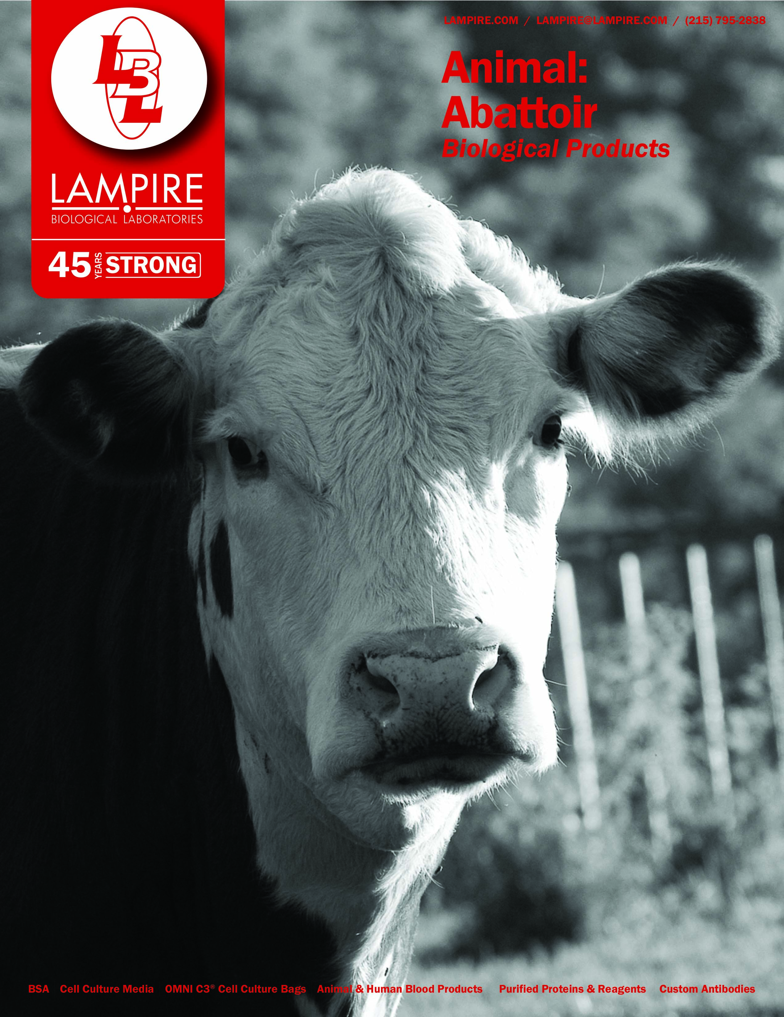 Animal: Abattoir Biological Products