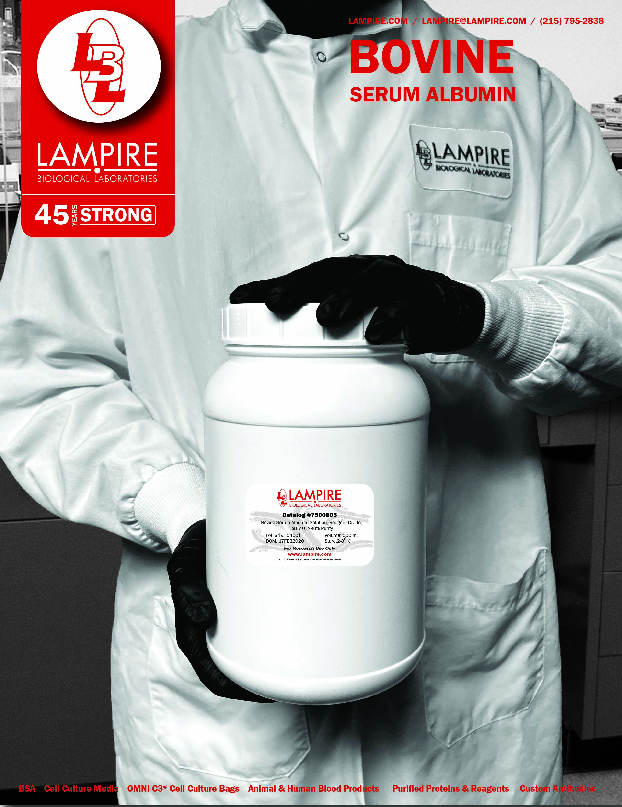BOVINE SERUM ALBUMIN (BSA)