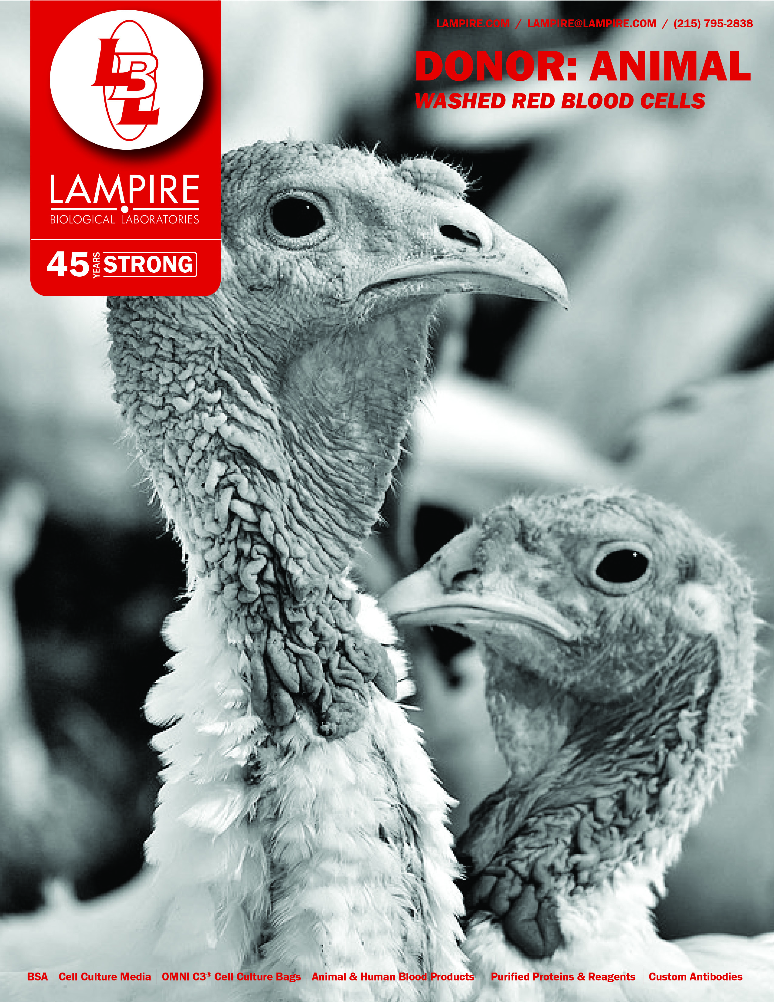 Washed Red Blood Cells