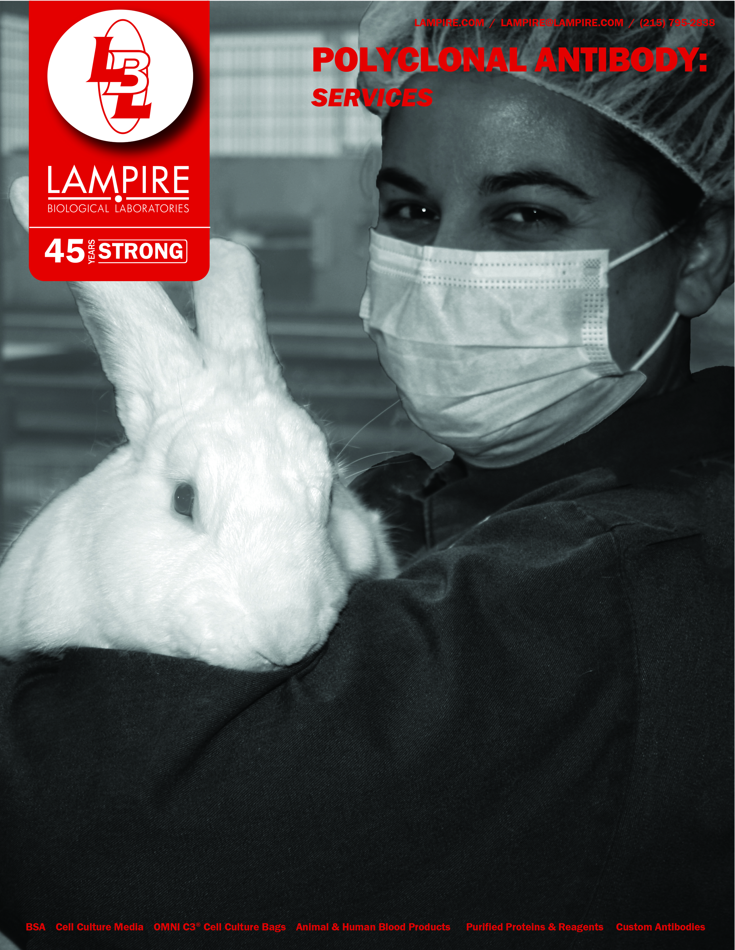 Polyclonal Antibody Services