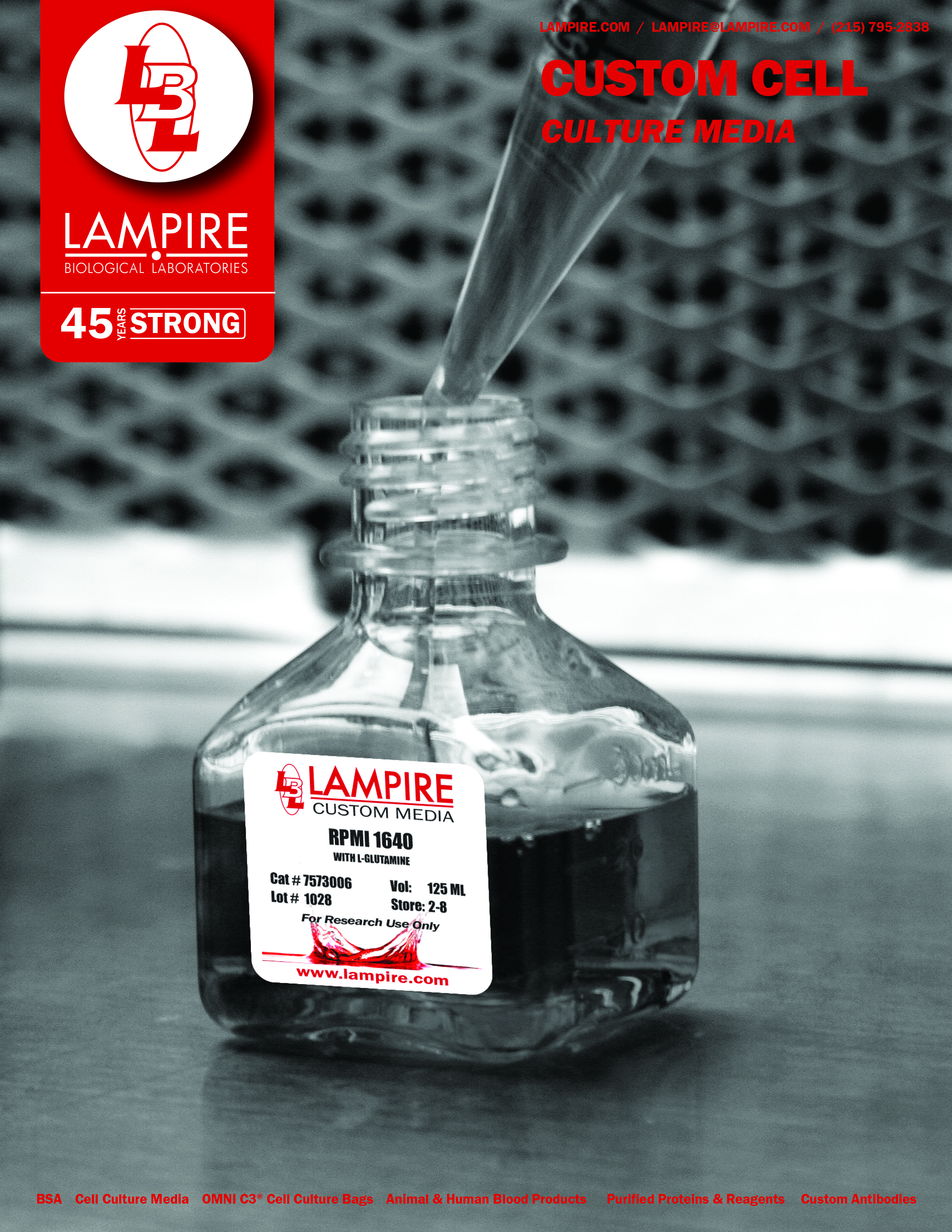 Custom Cell Media Flyer