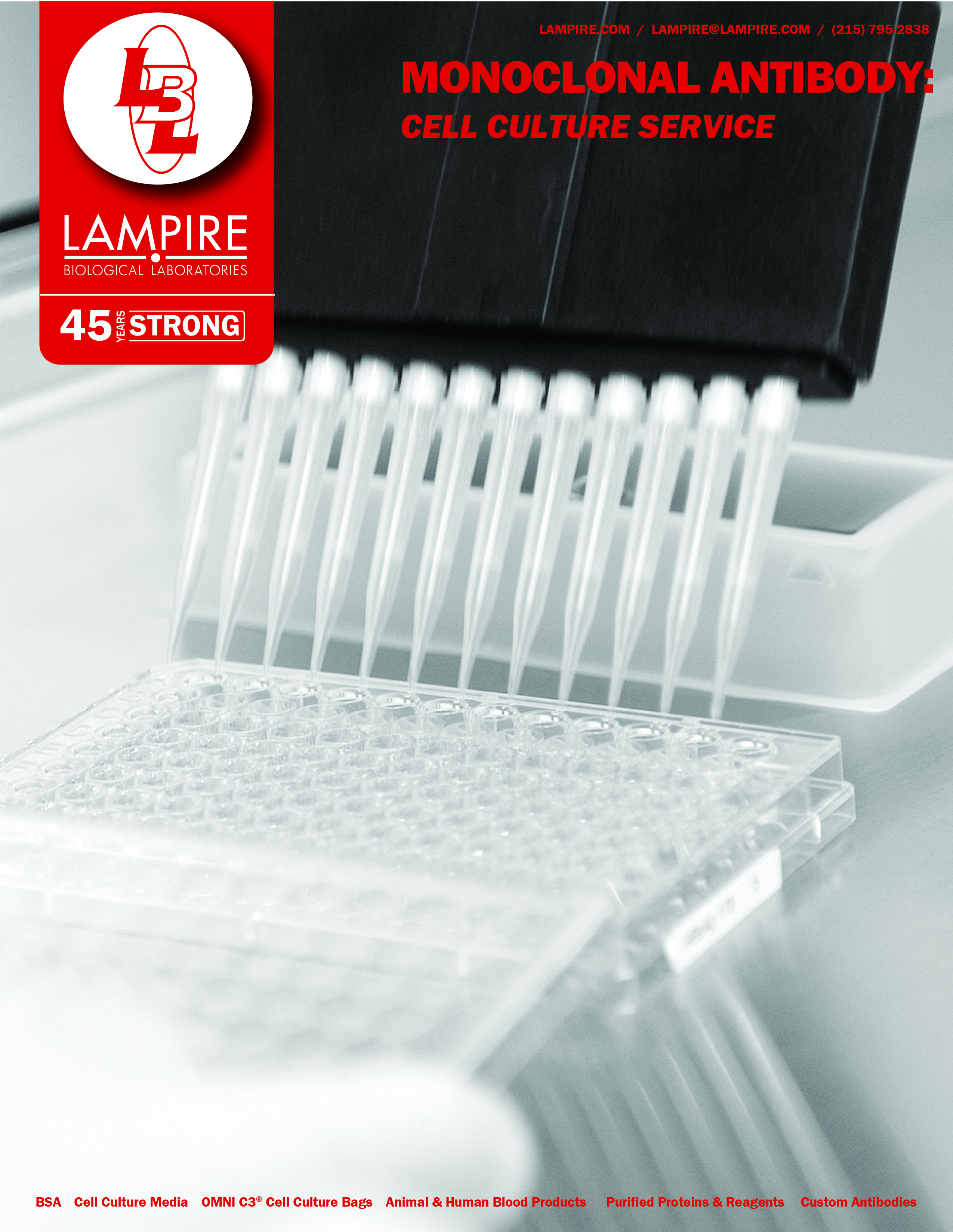 Cell Culture Services