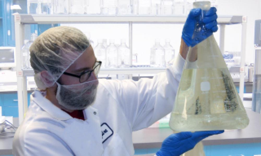  High Quality Deliverables